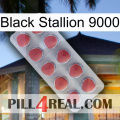 Black Stallion 9000 18